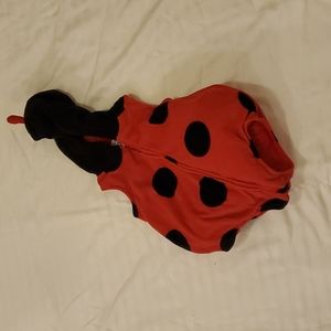Carters Ladybug costume